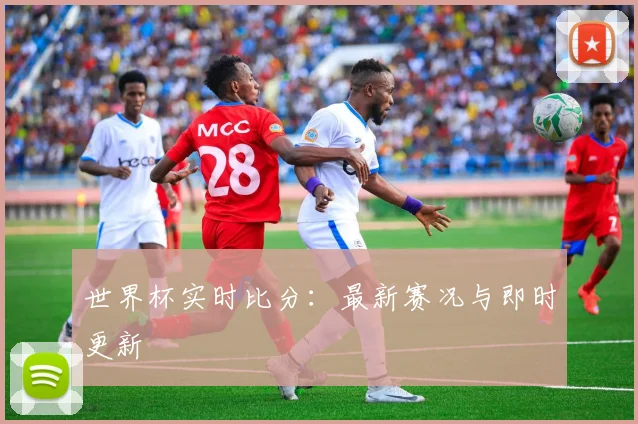世界杯实时比分：最新赛况与即时更新